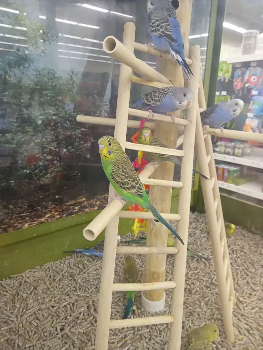 Petco Picture 2