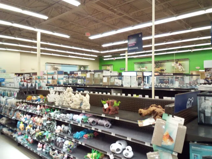 Petco Picture 6
