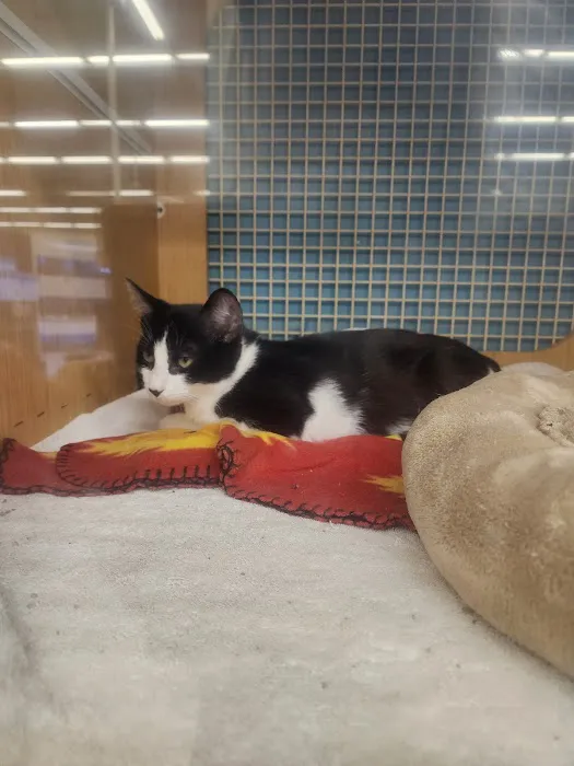 Petco Picture 3