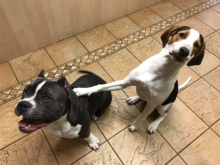 Norwich Veterinary Hospital Picture 4