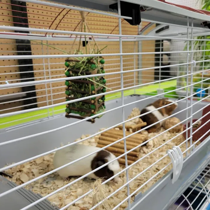 Coral Reef Pet Center Picture 7