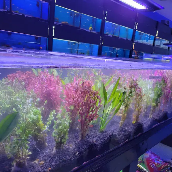 Coral Reef Pet Center Picture 8
