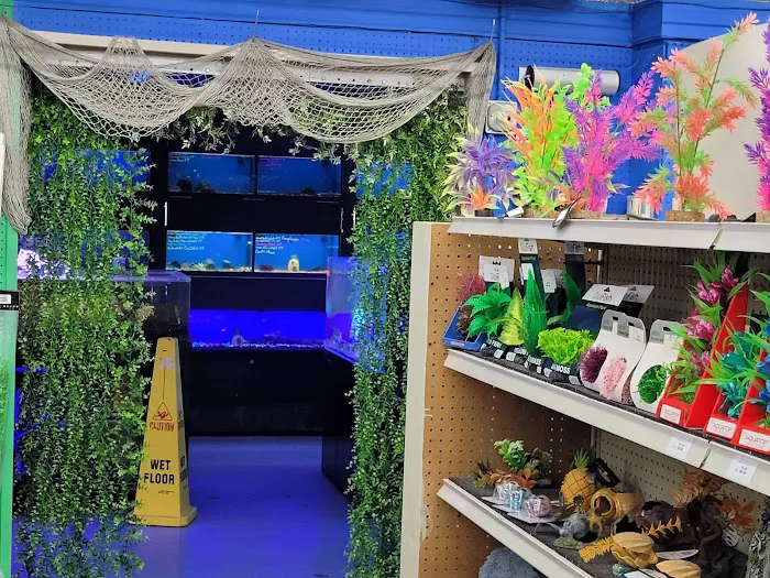 Coral Reef Pet Center Picture 9