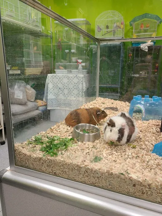 Coral Reef Pet Center Picture 4
