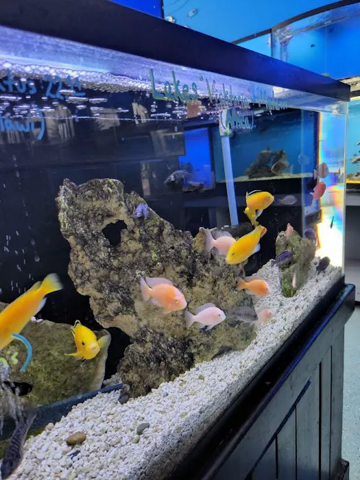 Coral Reef Pet Center Picture 5