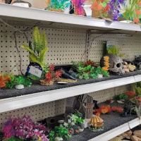 Coral Reef Pet Center ico