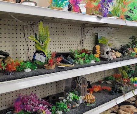 Coral Reef Pet Center