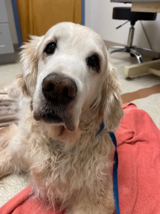Montville Animal Hospital Picture 2