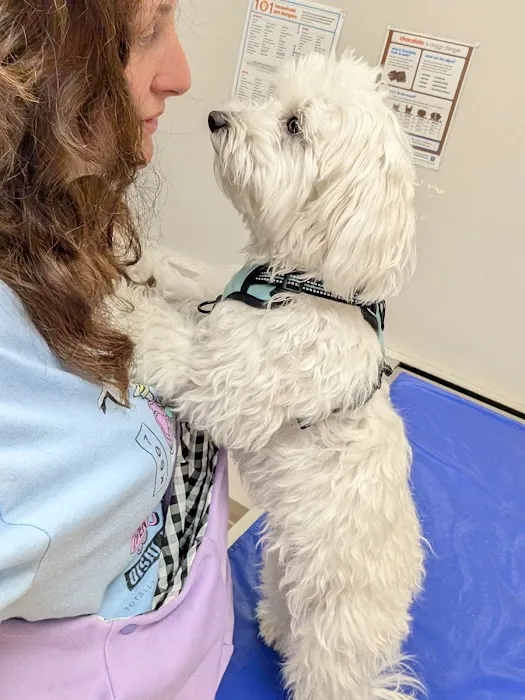 Montville Animal Hospital Picture 1