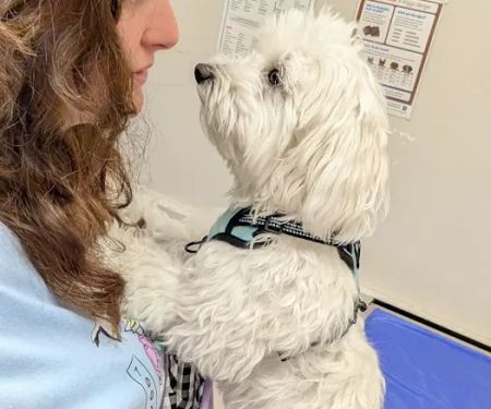 Montville Animal Hospital