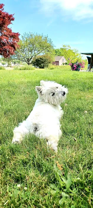 Montville Animal Hospital Picture 7