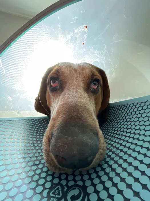 Montville Animal Hospital Picture 6