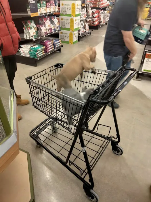 Petco Picture 5