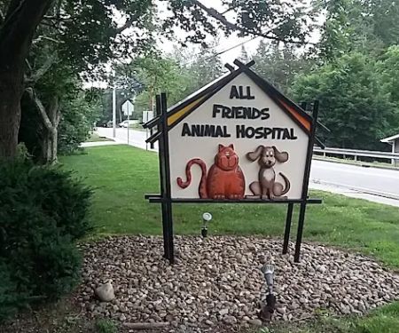 All Friends Animal Hospital