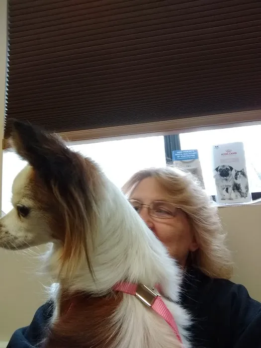 All Friends Animal Hospital Picture 8