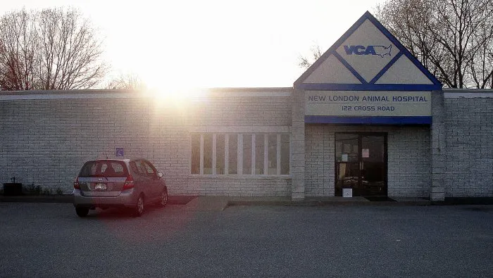 VCA New London Animal Hospital Picture 9