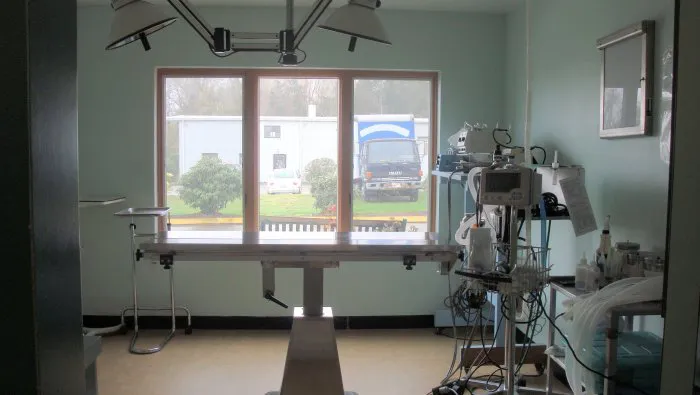 VCA New London Animal Hospital Picture 6