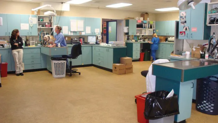 VCA New London Animal Hospital Picture 10