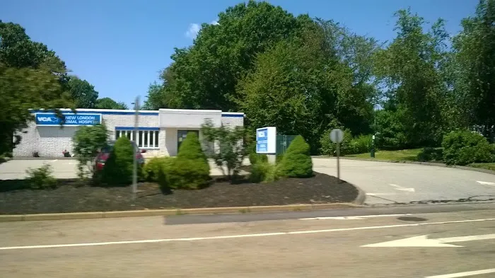VCA New London Animal Hospital Picture 1
