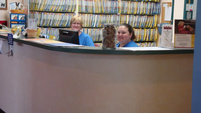 VCA New London Animal Hospital Picture 4