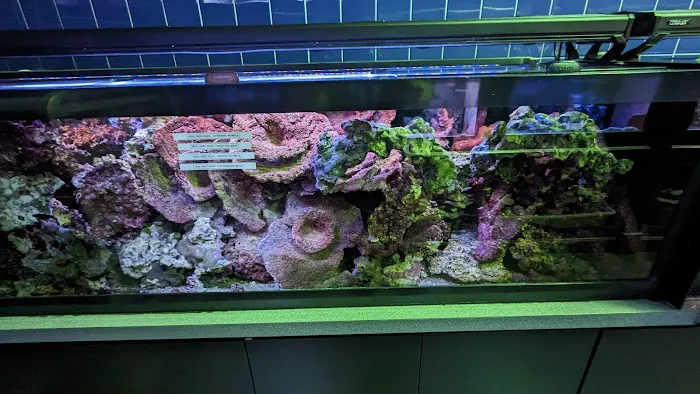 Aquatica Tinley Park Picture 3