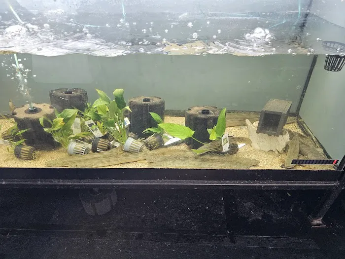 Nation Wide Aquatics Picture 3