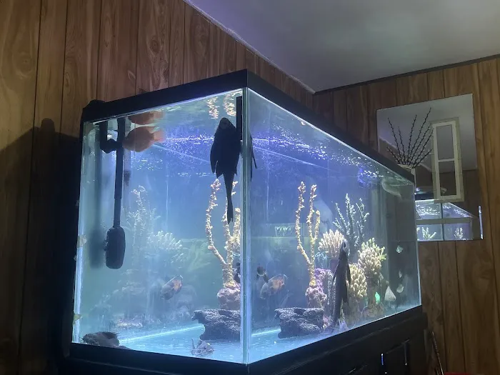 Nation Wide Aquatics Picture 10