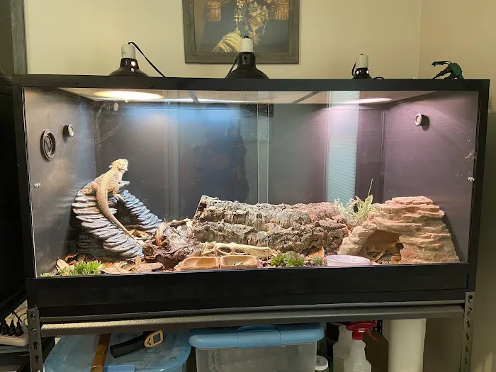 Chicago Reptile House Picture 1