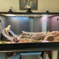 Chicago Reptile House ico