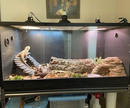 Chicago Reptile House