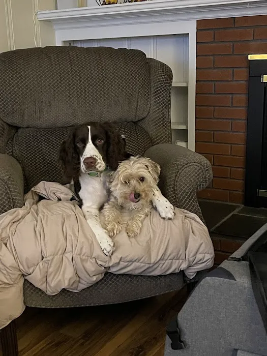Clark Veterinary Hospital Picture 10