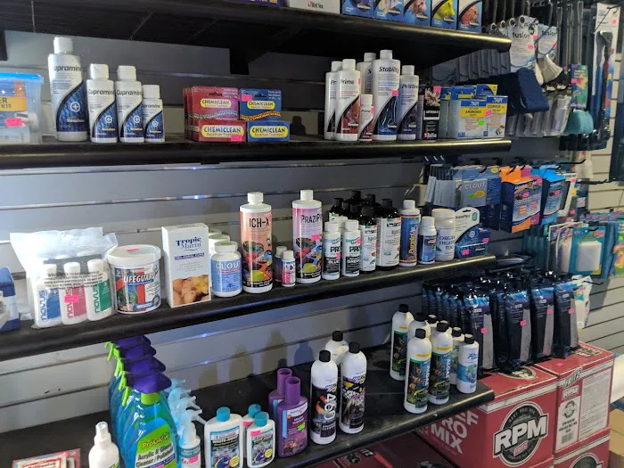 Chicago Fish and Coral Company Picture 6