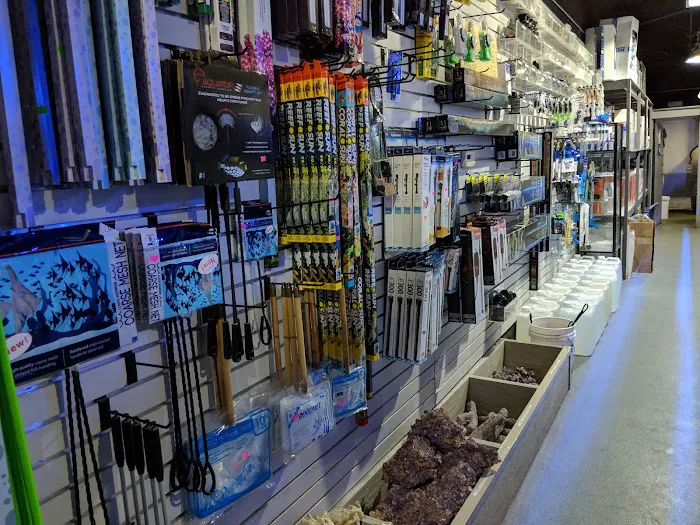 Chicago Fish and Coral Company Picture 2