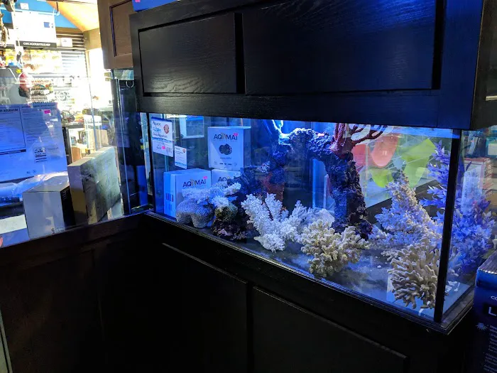 Chicago Fish and Coral Company Picture 4