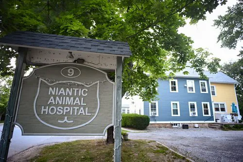 Niantic Animal Hospital Picture 8