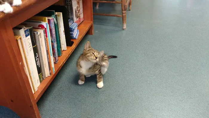 Niantic Animal Hospital Picture 5