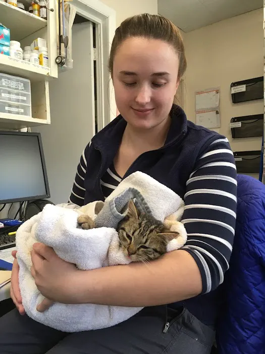 Niantic Animal Hospital Picture 1