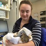 Niantic Animal Hospital