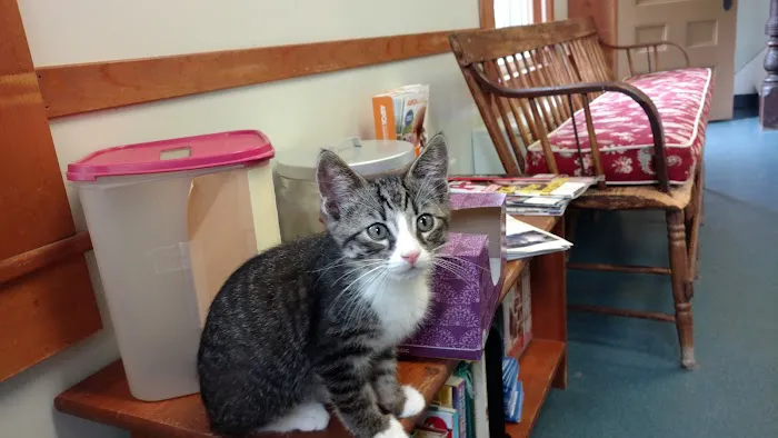 Niantic Animal Hospital Picture 3