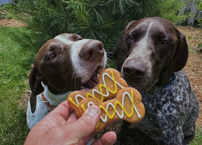Joy's Best Friends Best Bites Picture 10