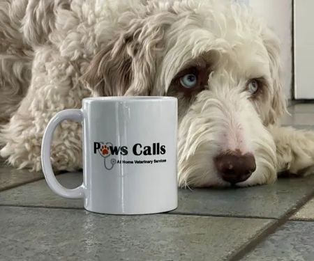 Paws Calls