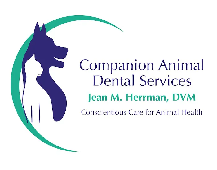 Companion Animal Dental Services Picture 1