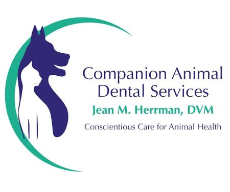 Companion Animal Dental Services