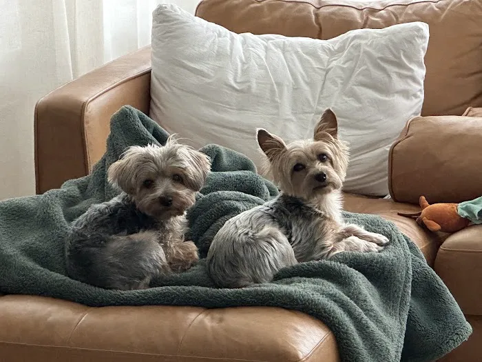Hug-A-Pup Picture 9