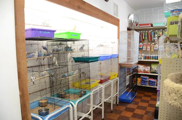 Terry's Aquarium & Pet Center Picture 6