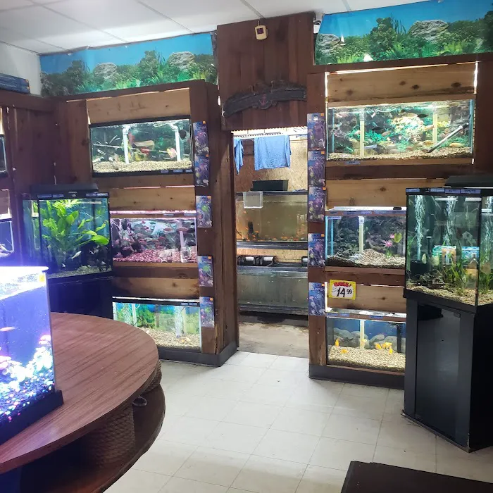 Terry's Aquarium & Pet Center Picture 5