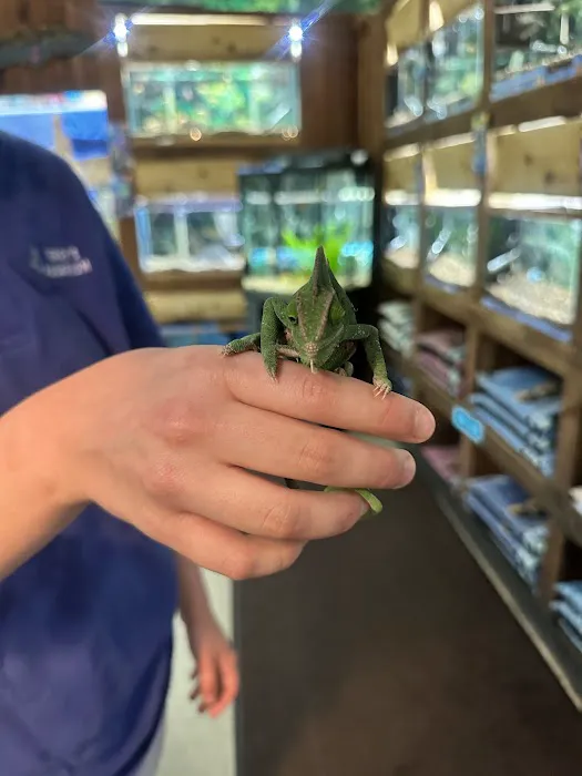 Terry's Aquarium & Pet Center Picture 7