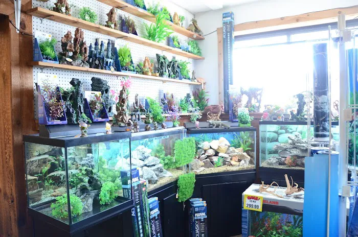 Terry's Aquarium & Pet Center Picture 2