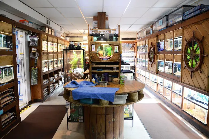 Terry's Aquarium & Pet Center Picture 10