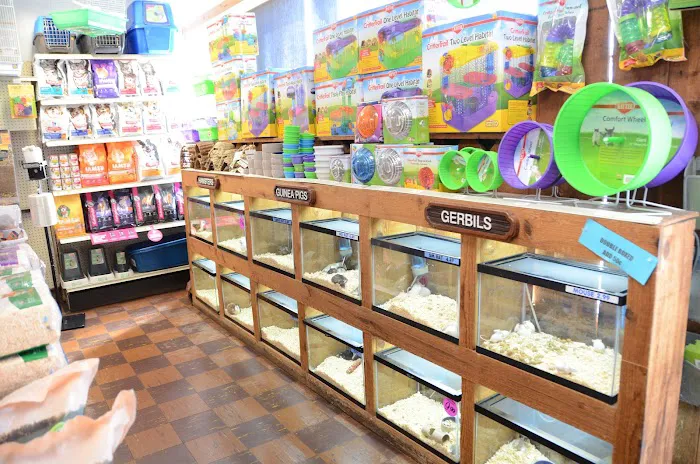 Terry's Aquarium & Pet Center Picture 4